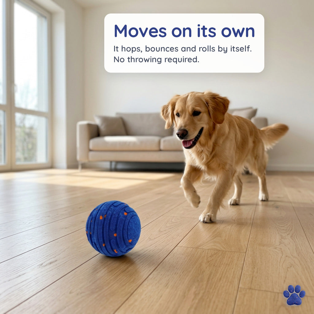 Golden retriever chasing the Zoomipaw ball as it moves on its own