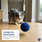 Zoomipaw ball jumping on command in front of an Australian shepherd