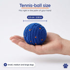 Tennis-ball size: 6.5 cm (2.55 in) Zoomipaw ball in an open hand